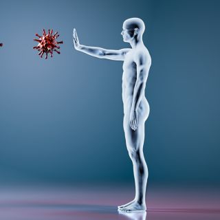 Fortalecimiento del Sistema Inmunológico